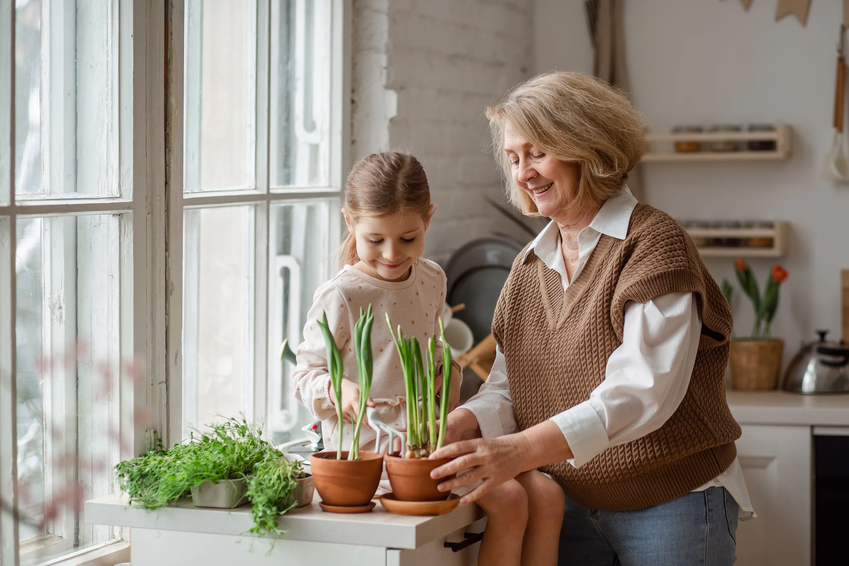 Grandmother showing her granddaughter how to tend potted spring bulbs at a sunlit kitchen window